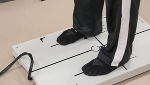 A force plate is a platform that can measure aspects of balance.