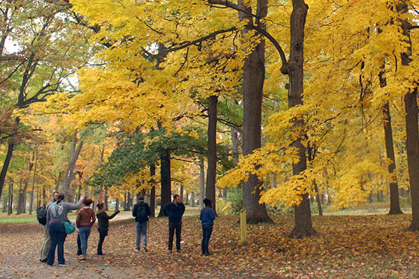 Students at Max Brandon Park