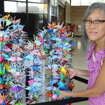 UM-Flint Social Work & Correctional Facility Pilot Origami Project