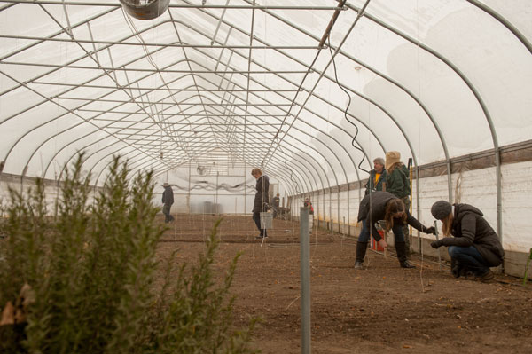 UM-Flint students clean out a greenhouse at King Karate on MLK Day 2017