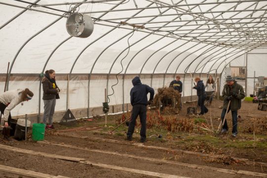 UM-Flint clean a hoop house at an urban farm in Flint.