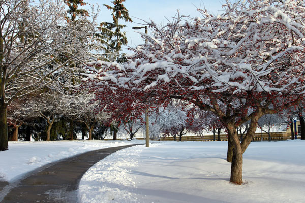 The campus of the University of Michigan-Flint after a winter storm.