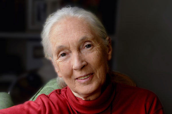 Renowned ethologist and conservationist Dr. Jane Goodall | October 2nd