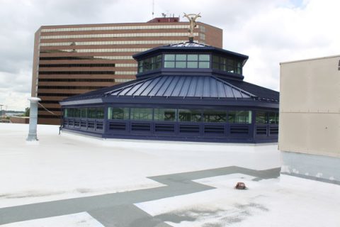 University Pavilion roof