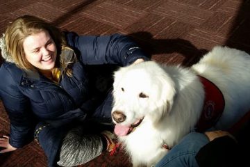 Therapy dogs at the UM-Flint library