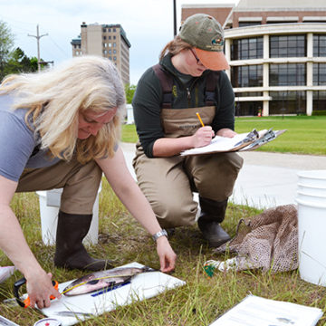 Wreaking havoc: Invasive species in Michigan