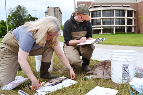 Heather Dawson is an active researcher, particularly in aquatic biology.