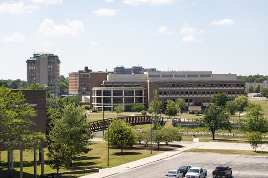 The White Building is featured in a photo of campus in the summer. The Flint River and green trees are in front of the building.