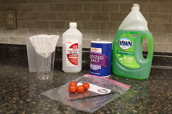 Materials to conduct experiments at home, including rubbing alcohol, salt, and dish soap.