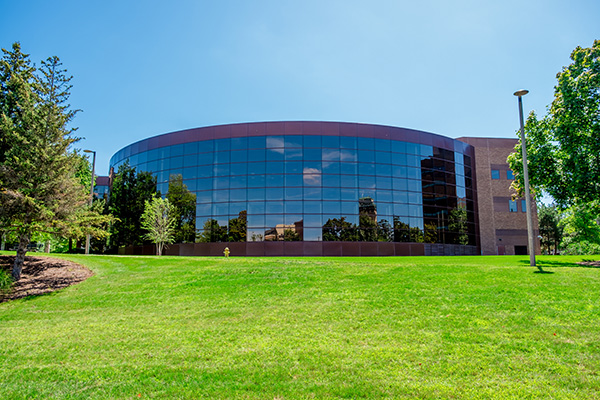 Library exterior in summer