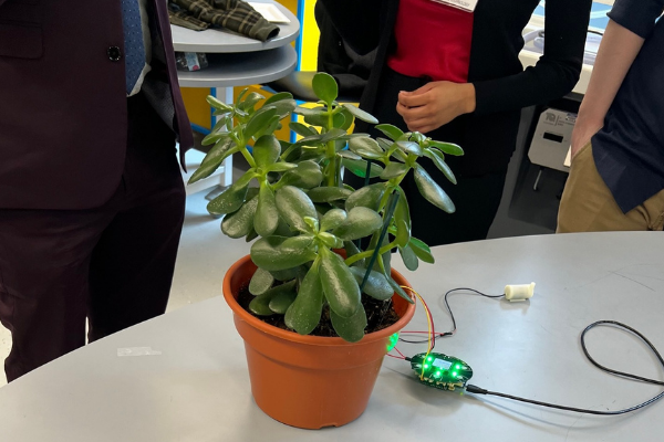plant hooked up to sensors 
