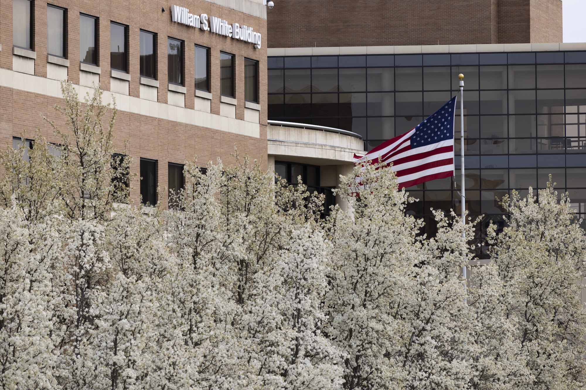 American flag waving on campus