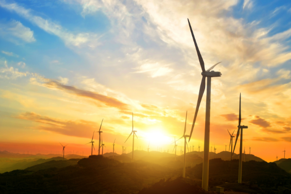 A field of windmills during sunset