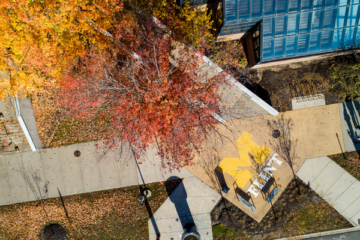 An ovrhead shot of the UM-Flint logo on a sidewalk with fall leaves