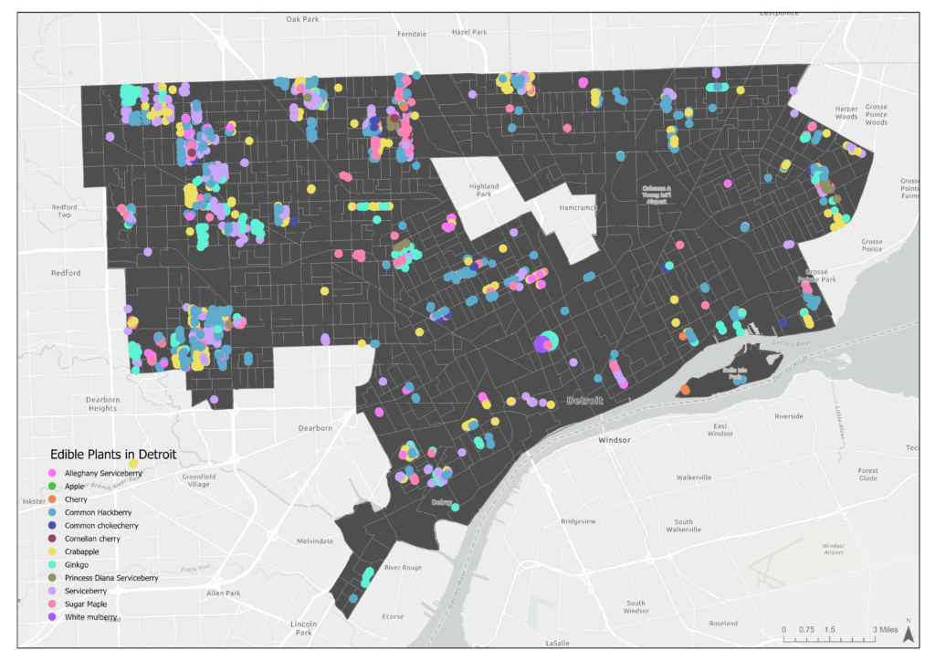 Heat map of the city of Detroit shows where the highest concentrations of edible plants are in the city.