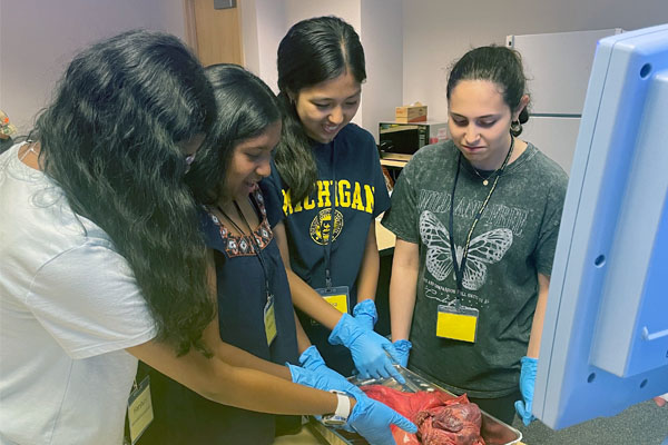 Campers examine a pig heart and lungs during a respiratory therapy session.