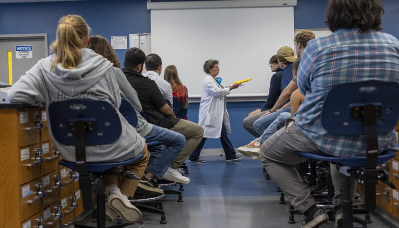 Students sitting in a chemistry lab