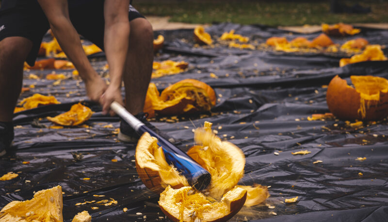 A close up of a pumpkin being smashed with a baseball bat.