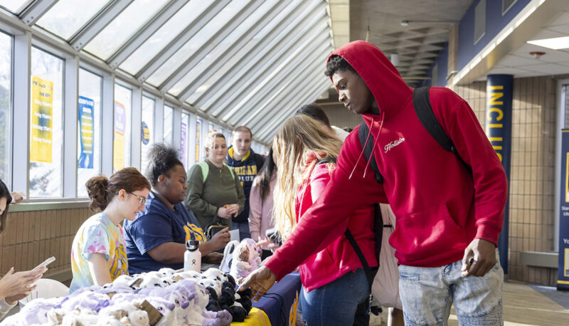 A student looking at plush options on a table