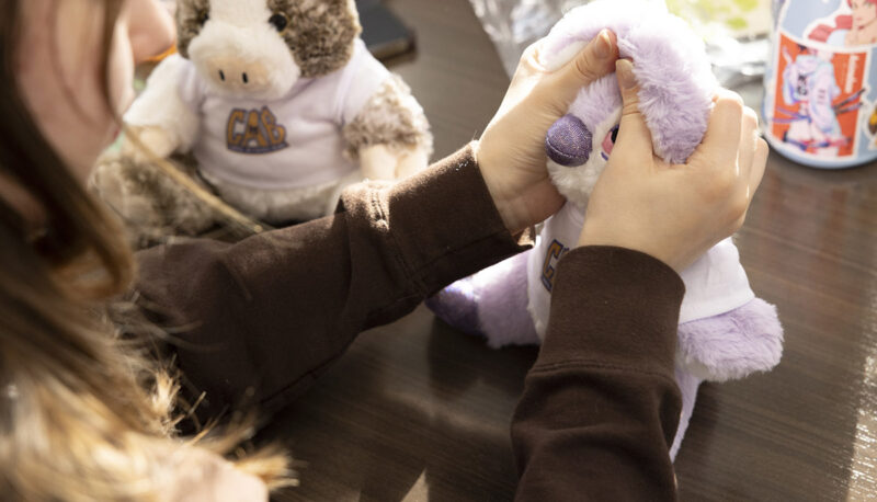 A closeup of a student stuffing a plush animal