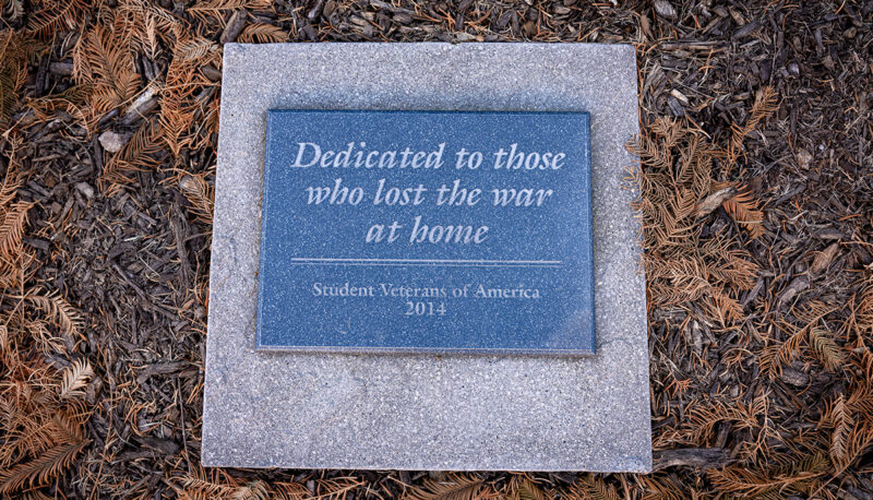 A plaque that reads "Dedicated to those who lost the war at home"