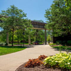 A summertime view of the UM-Flint campus