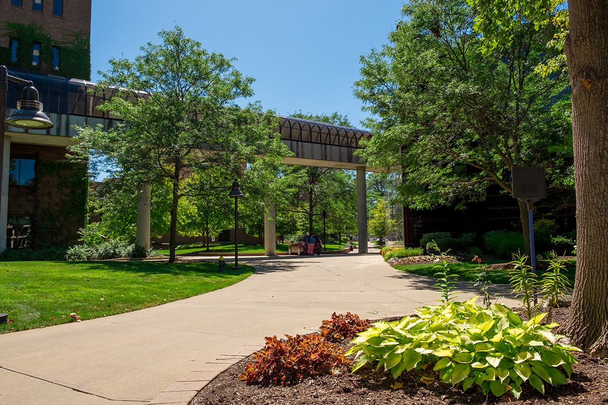 A summertime view of the UM-Flint campus