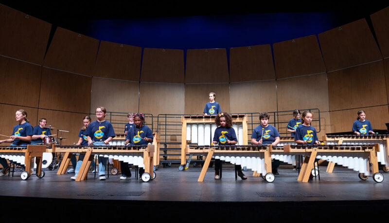 Campers playing marimbas.