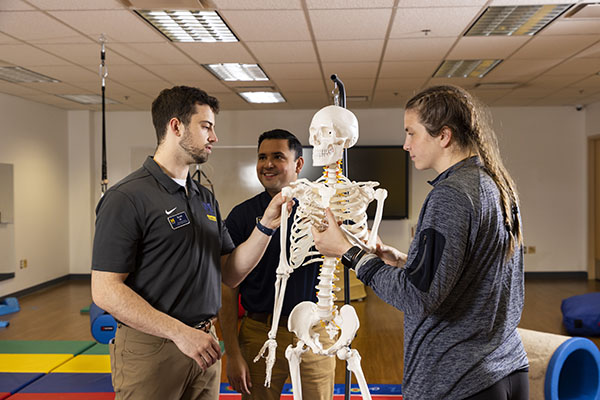 UM-Flint OT students examining a model skeleton