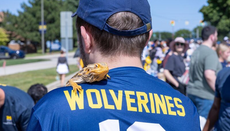 A view from behind a student wearing a Wolverines jersey with a bearded dragon on his shoulder.