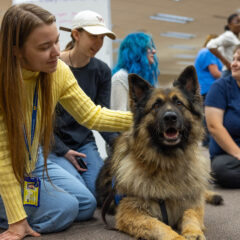 Students petting therapy dogs in the library