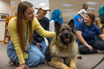 Students petting therapy dogs in the library