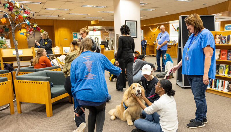 Students petting therapy dogs in the library