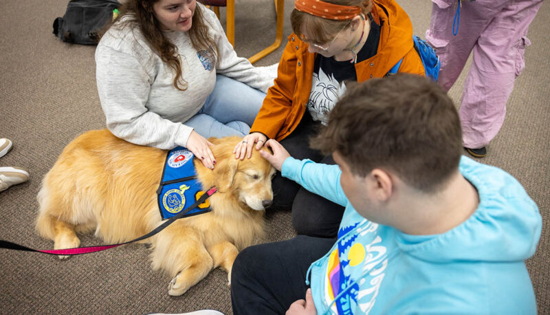 Students petting therapy dogs in the library