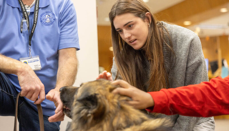 Students petting therapy dogs in the library