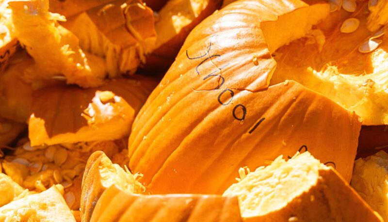 A closeup of smashed pumpkin parts.