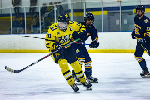 UMFlint Hockey Player