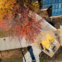 An overhead view of the UM-Flint campus with autumn leaves and the UM-Flint logo on the sidewalk