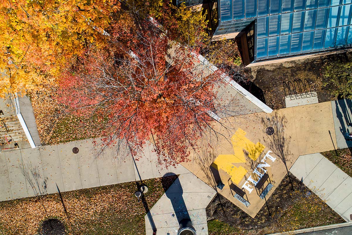 An overhead view of the UM-Flint campus with autumn leaves and the UM-Flint logo on the sidewalk