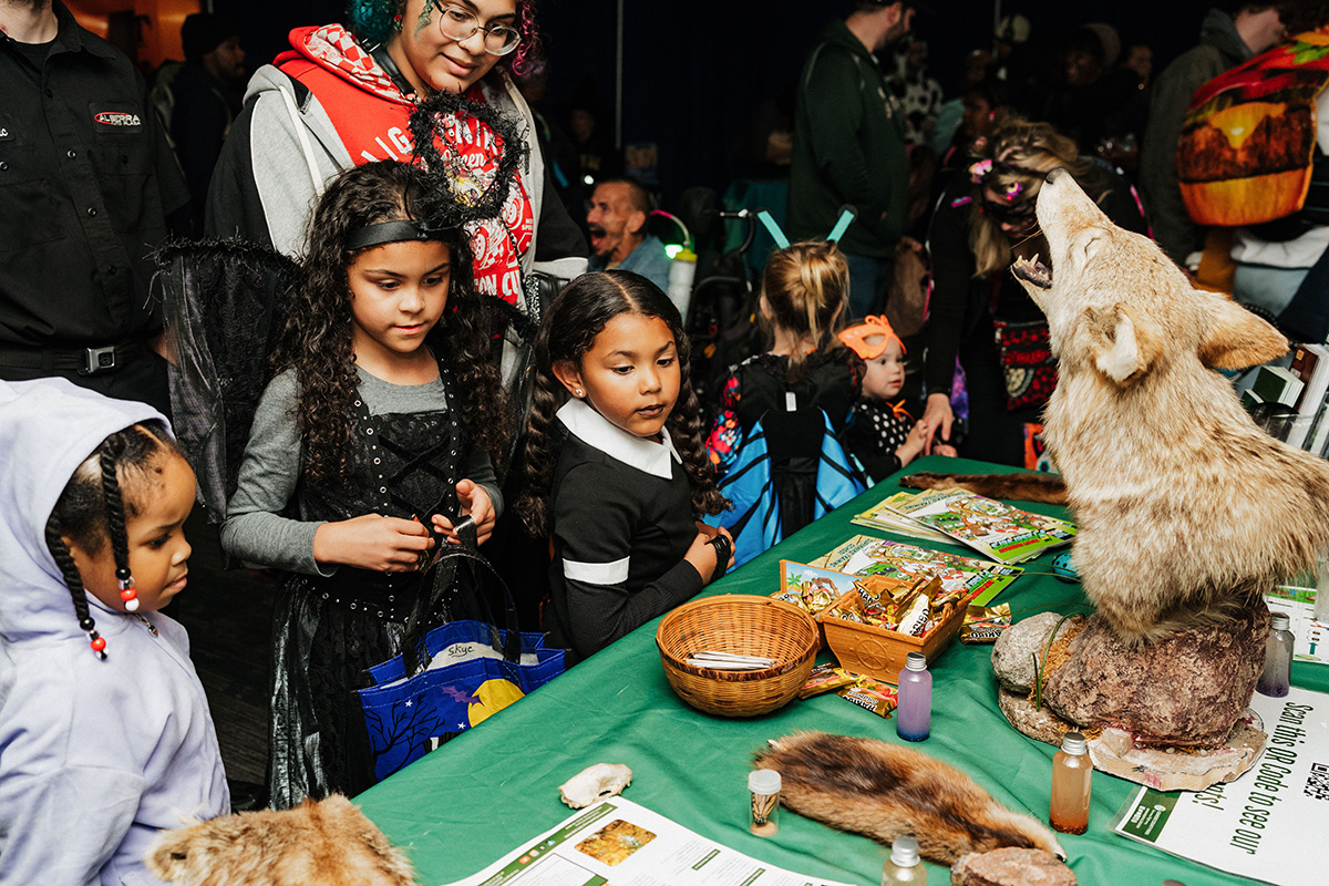 Children in costumes gather around a table displaying a taxidermy coyote and various educational materials.