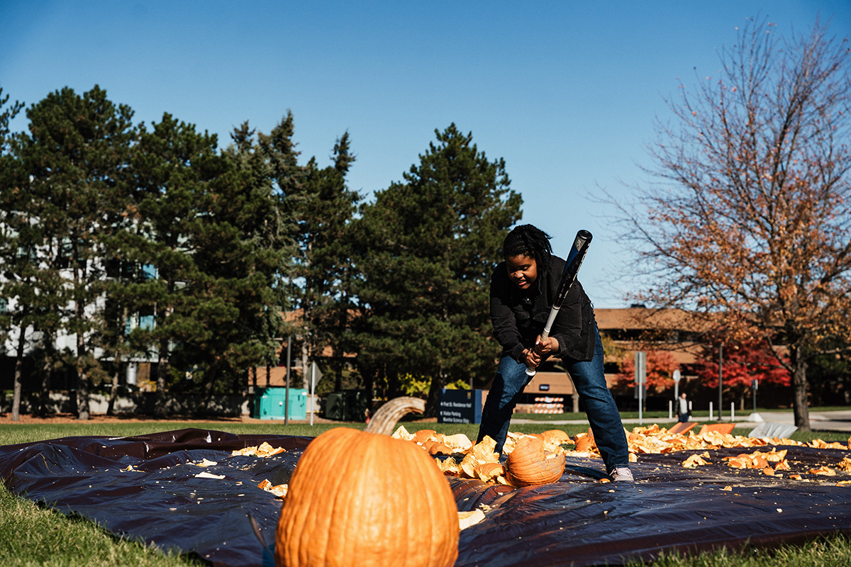 A person swings a bat to smash pumpkins on a black tarp in a grassy area, with trees and buildings in the background.