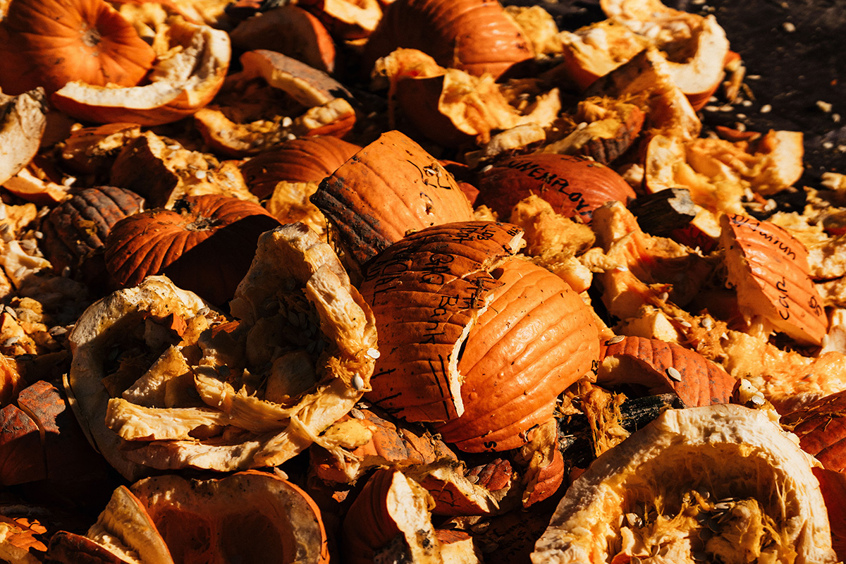 A pile of discarded pumpkin remnants, showing orange pumpkin skins and seeds scattered on the ground.