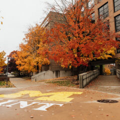 A pathway lined with colorful autumn trees leads to a building, with a large yellow "M" painted on the ground.