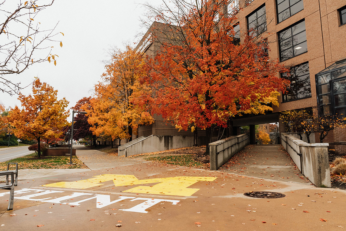 A pathway lined with colorful autumn trees leads to a building, with a large yellow "M" painted on the ground.