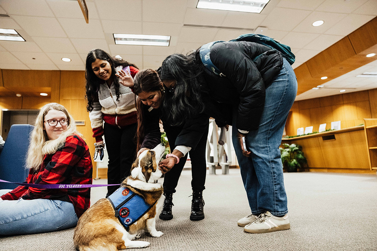 A group of people interacting with a friendly dog wearing a blue vest in a library setting.