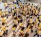 A large group of people wearing yellow shirts and blue backpacks walking together on a tiled outdoor area.