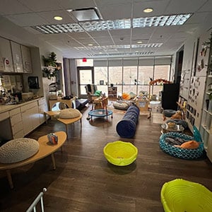 A cozy room with various pet beds, including round and oval shapes, scattered around. There are plants, a kitchenette, and large windows letting in natural light.