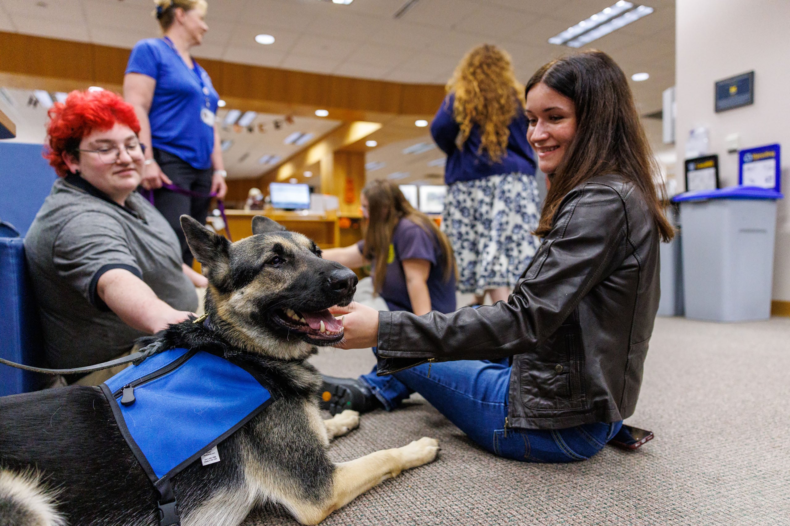 A German Shepherd in the library getting attention from students