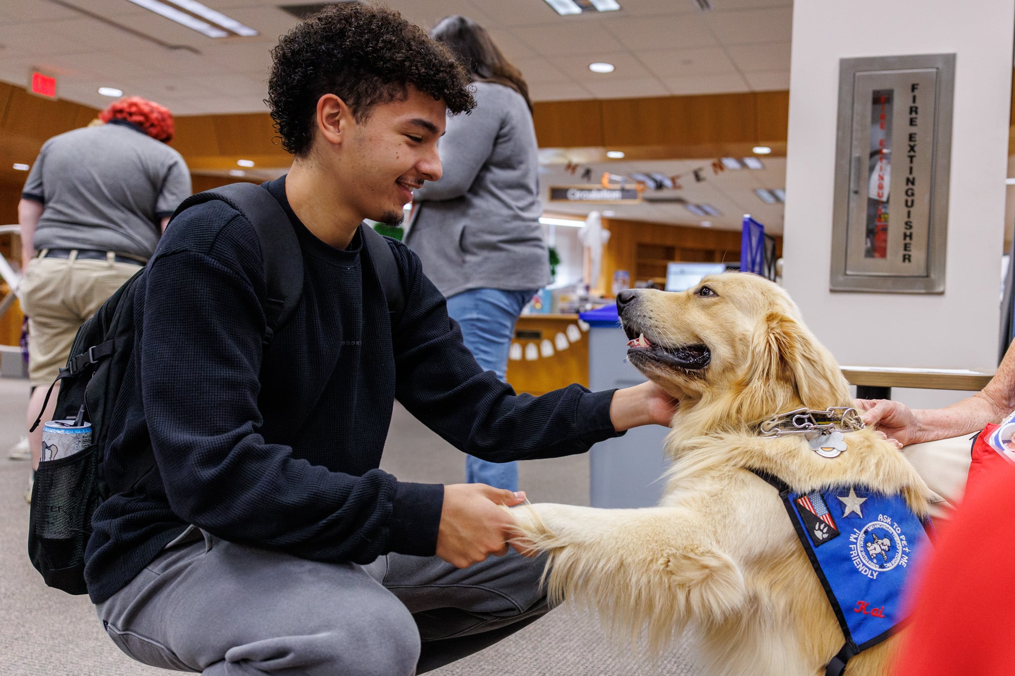A Golden Retriever in the Library getting attention from students