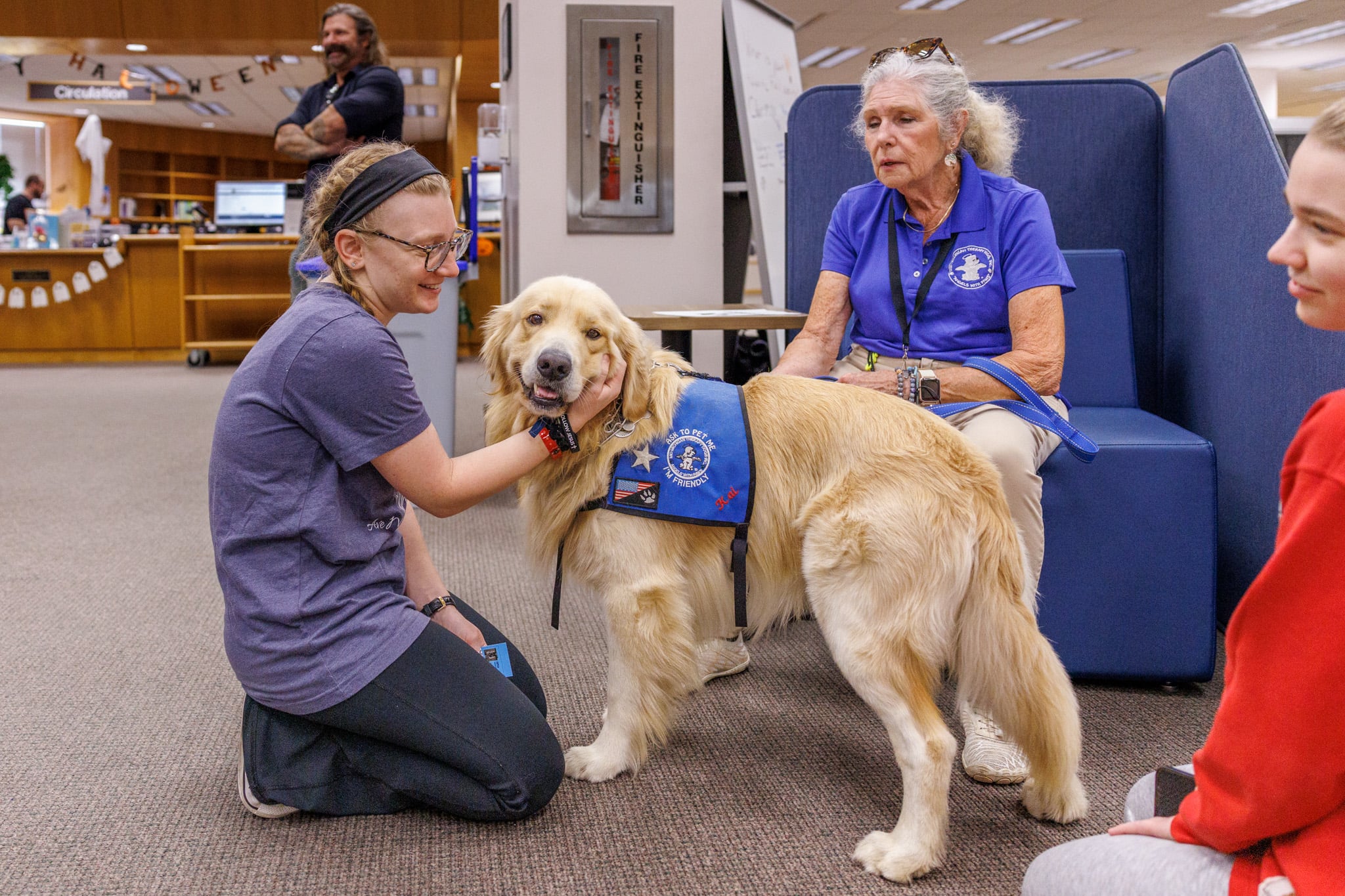 A Golden Retriever in the Library getting attention from students